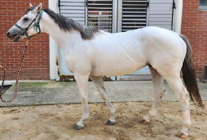 �뼺�帲 ����