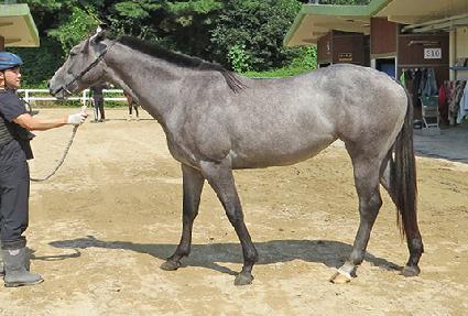 ���̵��ϳ��� ����