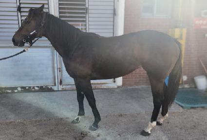 �뼺��Ű ����