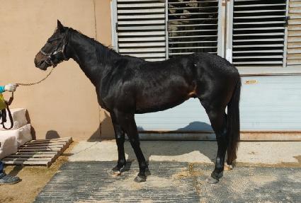 ���������� ����