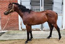 ��������ü (BEOLGYO FRANCHE) ����