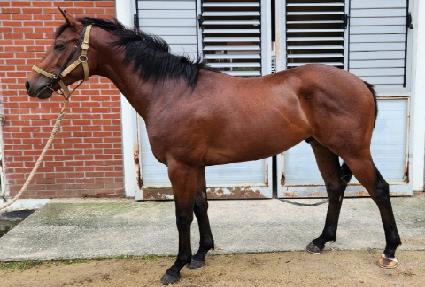 ��������ü ����