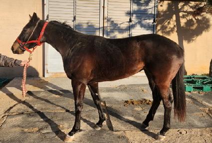 ����ȸ���Ʈ ����