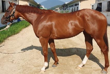 ������ ����