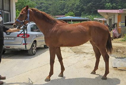 �����Ʈ�� ����