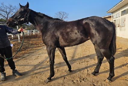 ������ ����