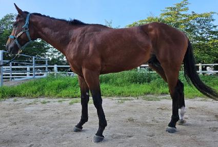 ȯ���ǹ� ����