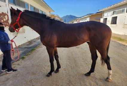 ����ϵ� ����