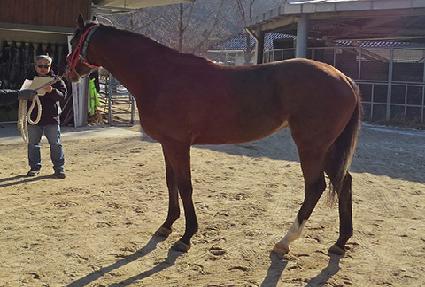 �ұ��ô� ����