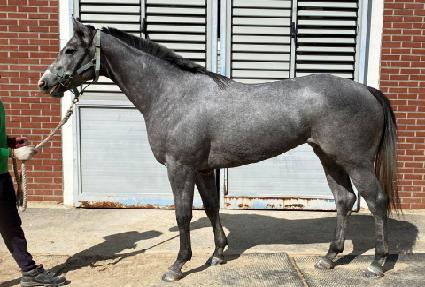 �Ķ������� ����