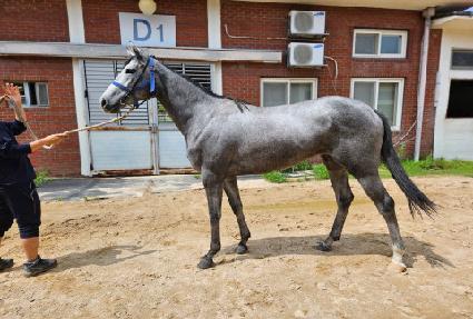 ĸƾ�ڸ��� ����