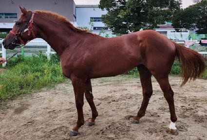 ������Ÿ�� ����