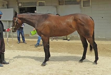 �帲Ÿ�� ����