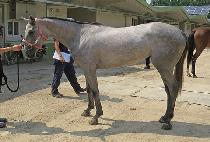 �����ѳ��� (CHALLANHAN NALGAE) ����