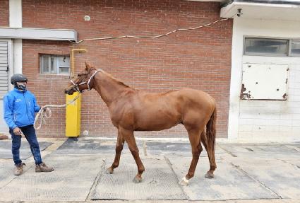 �������� ����