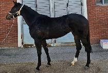 �����÷��� (VICTOR PLAY) ����