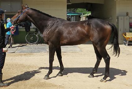 ����ö��� ����