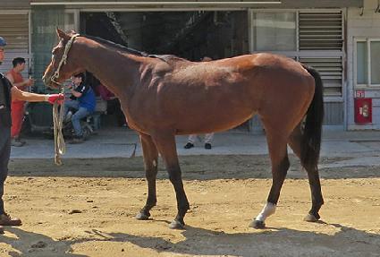 �ϵ��ڼ� ����