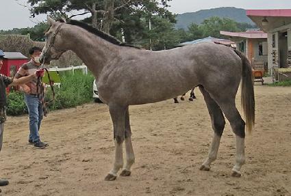 ���ð��� ����