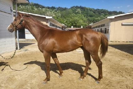 ��Ʈ�巡�� ����