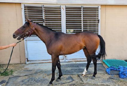 �����ְ� ����