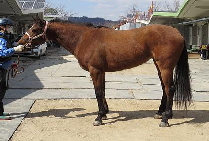 ���巰Ű ����