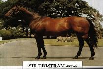 SIR TRISTRAM picture