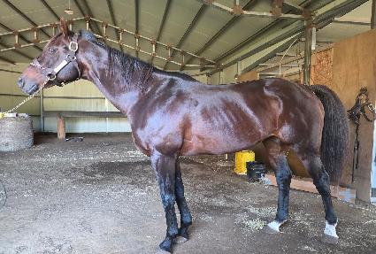 ������ ����