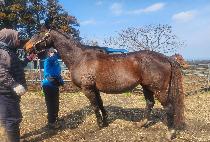 ����Ŀ ����