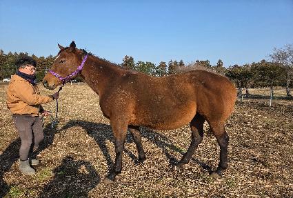 Ʈ���ú������� ����