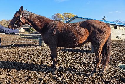 �ΰ���¡�� ����