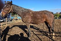 Űư��ī��� ����