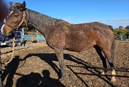 Űư��ī��� ����