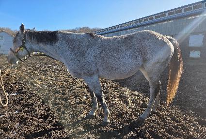 �ð� ����