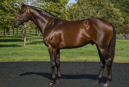 �۷ι�ķ���� ����