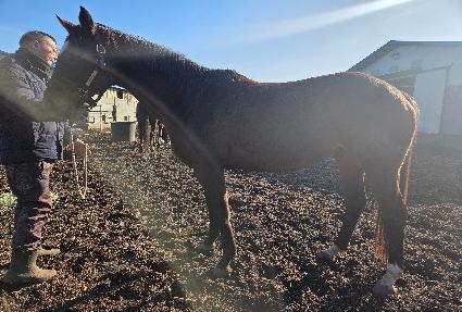 �ӳ��� ����