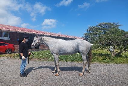 ����Ʈ���� ����