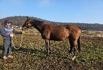 �����ν��۽���Ʈ ����