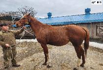 ����ε� ����