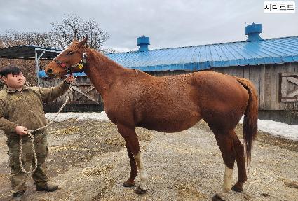 ����ε� ����