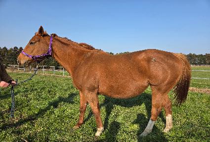 ���ĺ�� ����