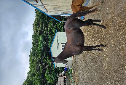 ������ƽ���� ����