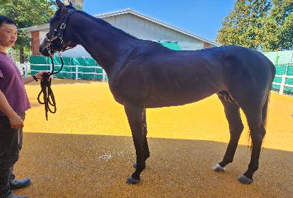 ũ��������̵� ����