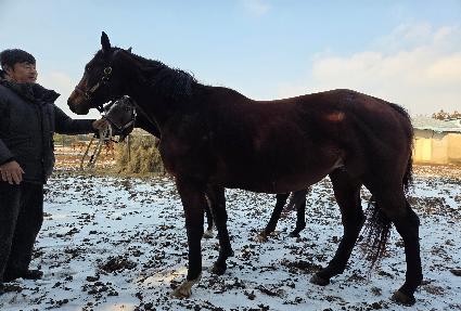 Ʈ����Ʈ���ѹ��� ����