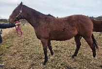 ũ���������� ����