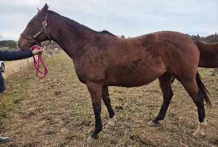 ũ���������� ����