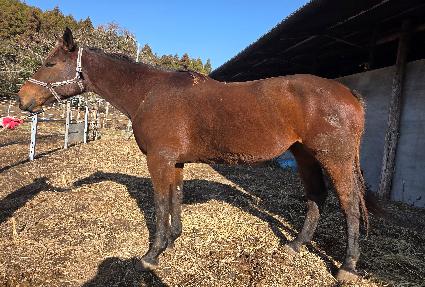 �����̽� ����