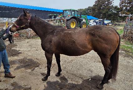 �������̺� ����