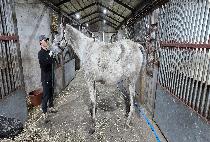 ��ų ����