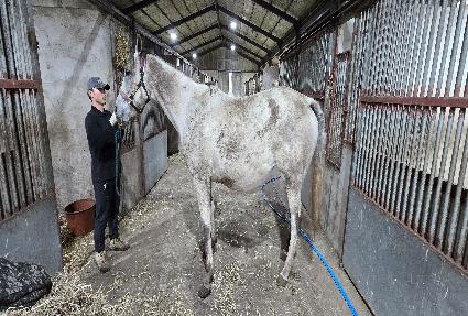 ��ų ����